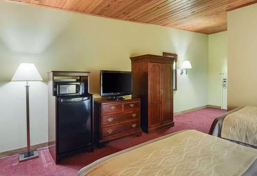 ホテル Quality Inn