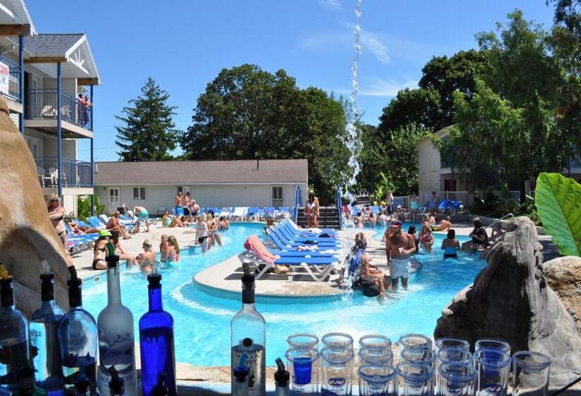 ホテル Islander Inn