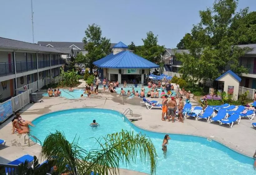 Hotelli Islander Inn