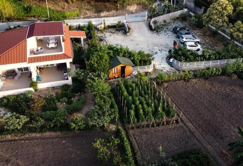 Bed and Breakfast Michelino House