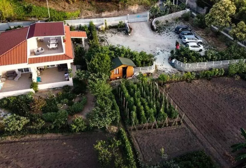 Aamiaismajoitus (B&B) Michelino House