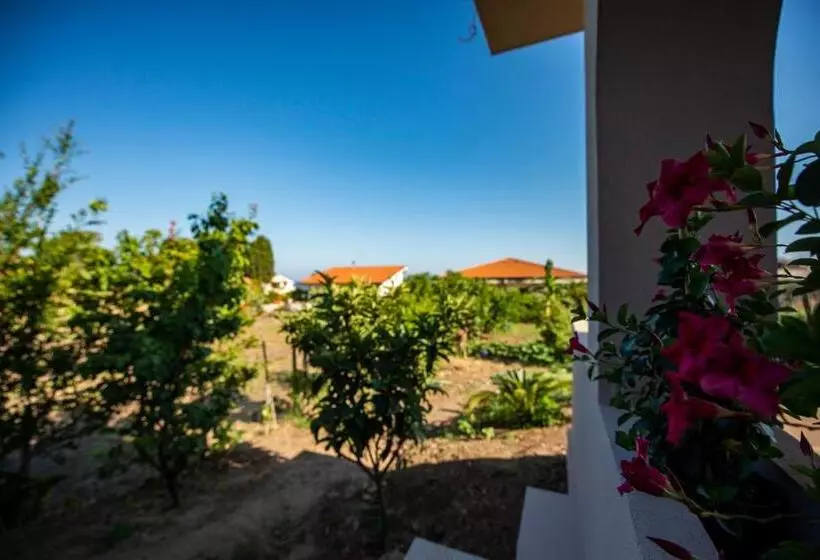 Aamiaismajoitus (B&B) Michelino House