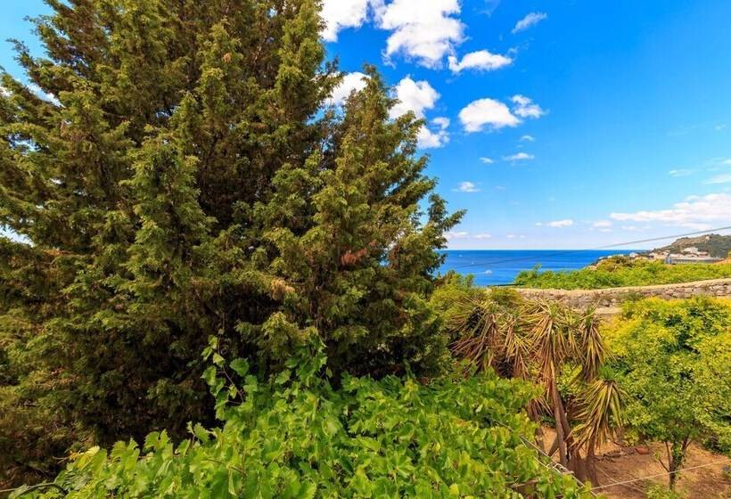 Hedera Estate, House Hedera V