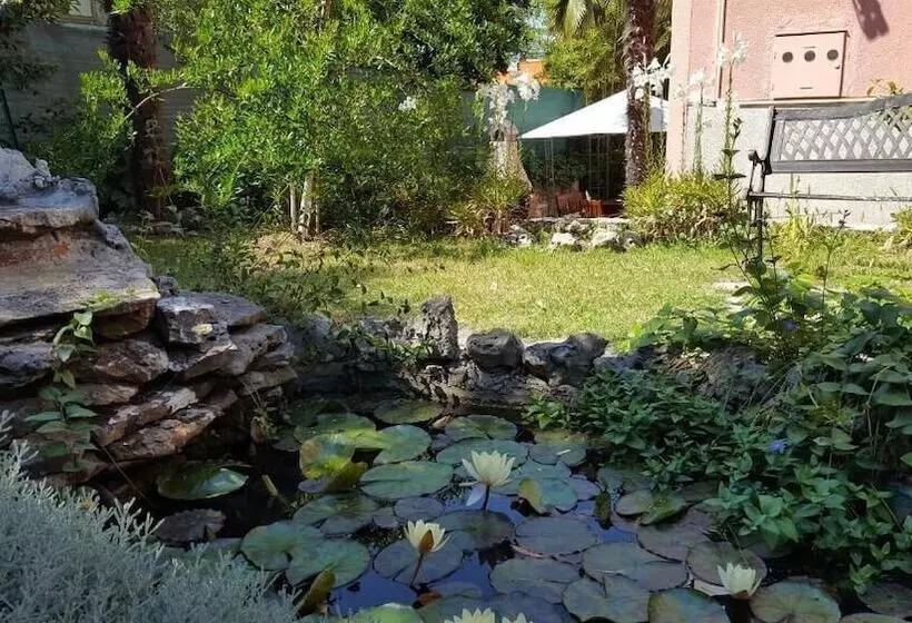 Majatalo Apartment & Rooms Graciela