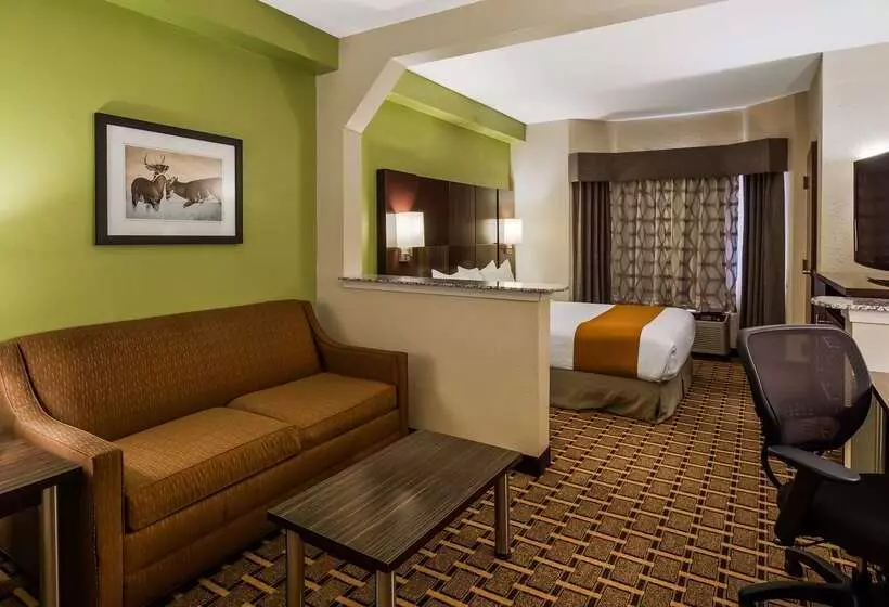 Отель Best Western Knoxville Suites  Downtown