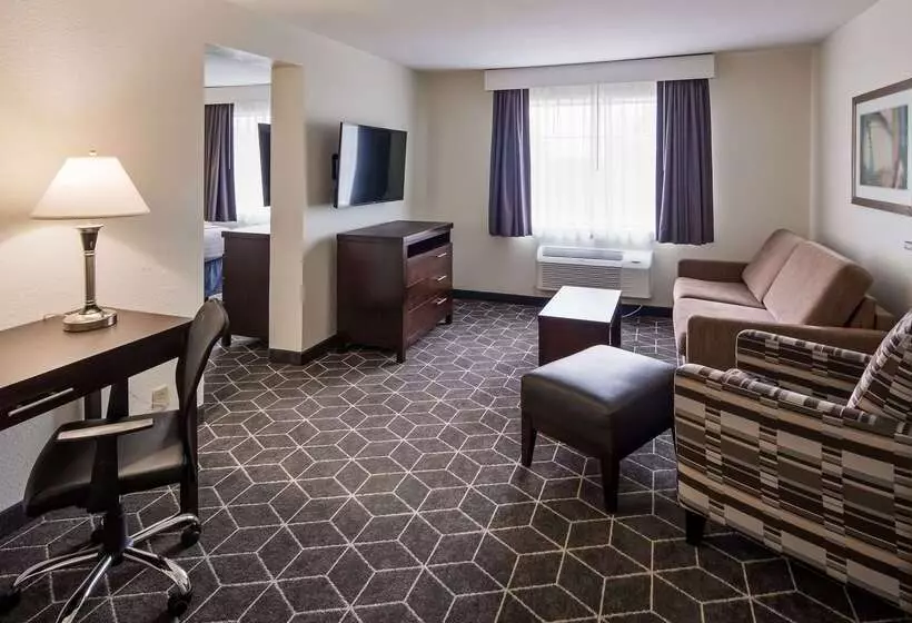 هتل Best Western Plus Portage  And Suites