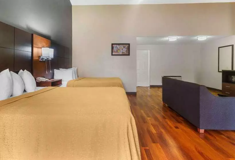 酒店 Econo Lodge Inn & Suites Gatlinburg At The Convention Center