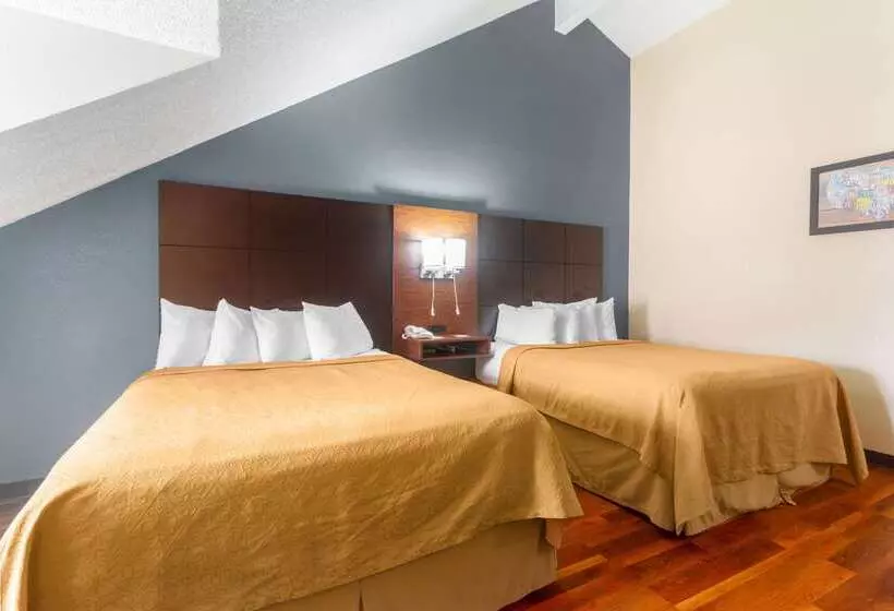 酒店 Econo Lodge Inn & Suites Gatlinburg At The Convention Center