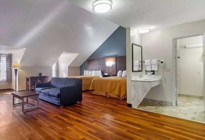 酒店 Econo Lodge Inn & Suites Gatlinburg At The Convention Center