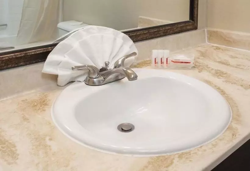 酒店 Lodge Of La Mesa