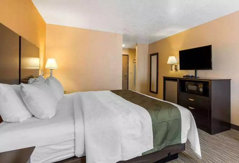 酒店 Quality Inn & Suites Albuquerque North Near Balloon Fiesta Park