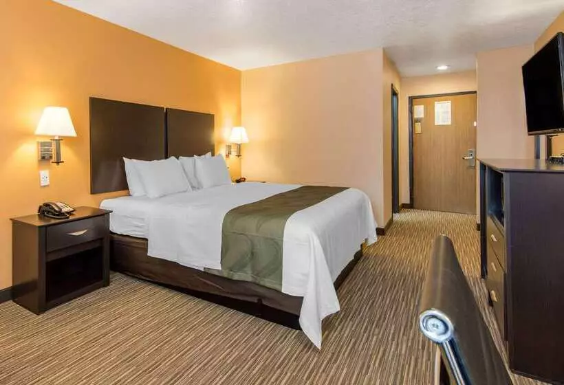 酒店 Quality Inn & Suites Albuquerque North Near Balloon Fiesta Park