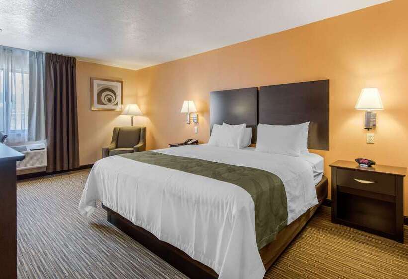 فندق Quality Inn & Suites Albuquerque North Near Balloon Fiesta Park