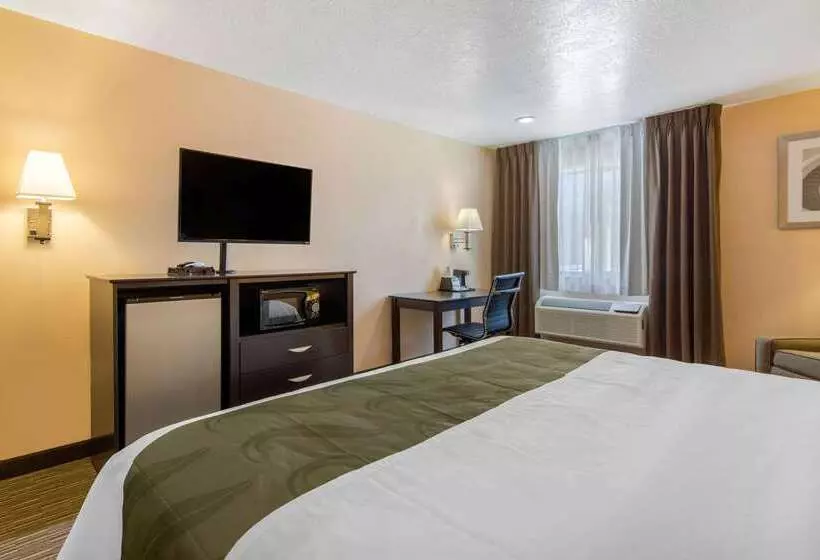 酒店 Quality Inn & Suites Albuquerque North Near Balloon Fiesta Park