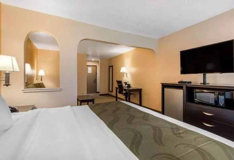 酒店 Quality Inn & Suites Albuquerque North Near Balloon Fiesta Park