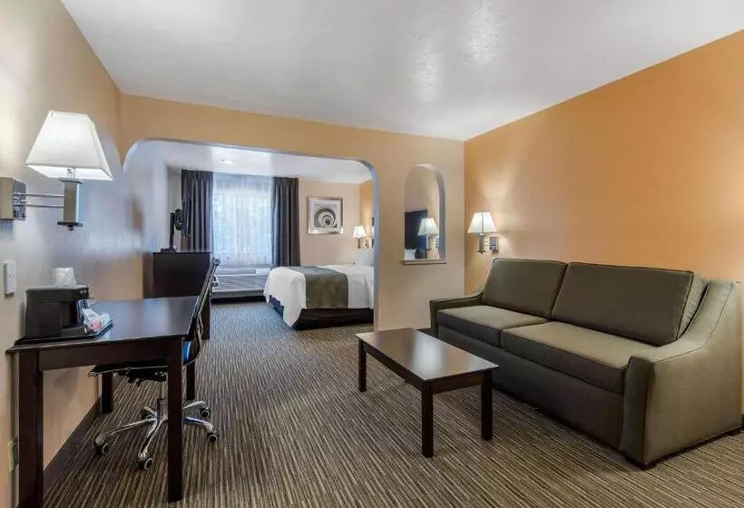 酒店 Quality Inn & Suites Albuquerque North Near Balloon Fiesta Park