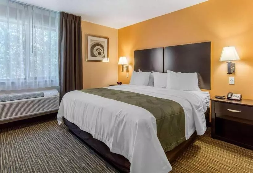 酒店 Quality Inn & Suites Albuquerque North Near Balloon Fiesta Park