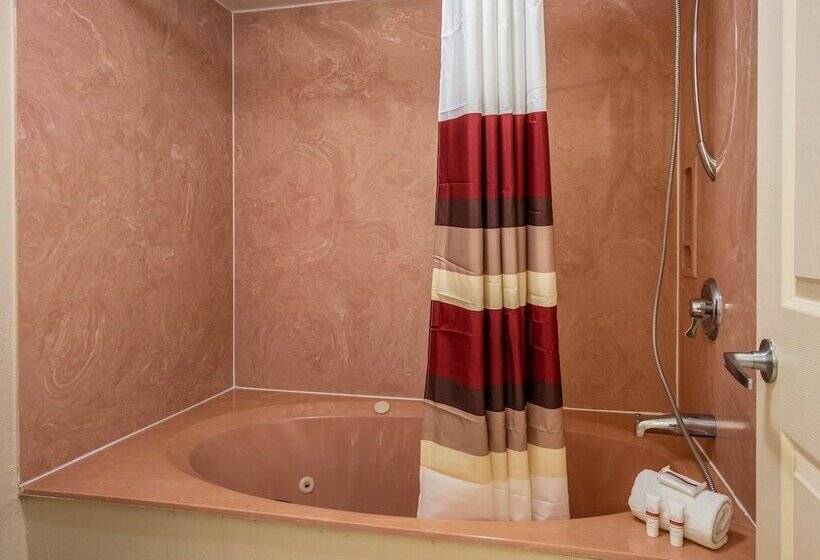 호텔 Red Roof Inn Orlando South  Florida Mall