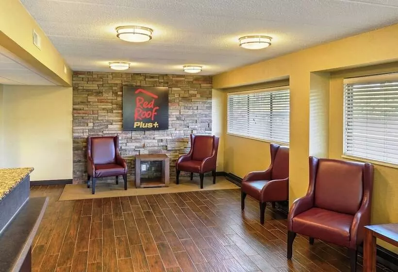 酒店 Red Roof Inn Plus+ Washington Dc   Manassas