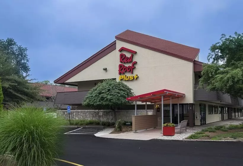 Отель Red Roof Inn Plus+ West Springfield