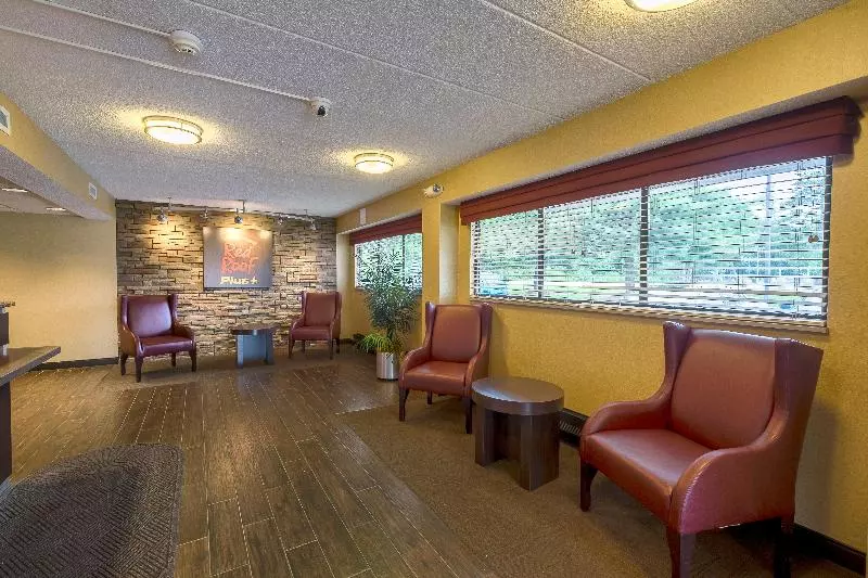 Отель Red Roof Inn Plus+ West Springfield