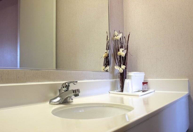 Отель Regency Inn Richmond