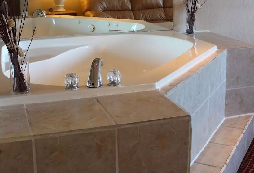 Отель Regency Inn Richmond