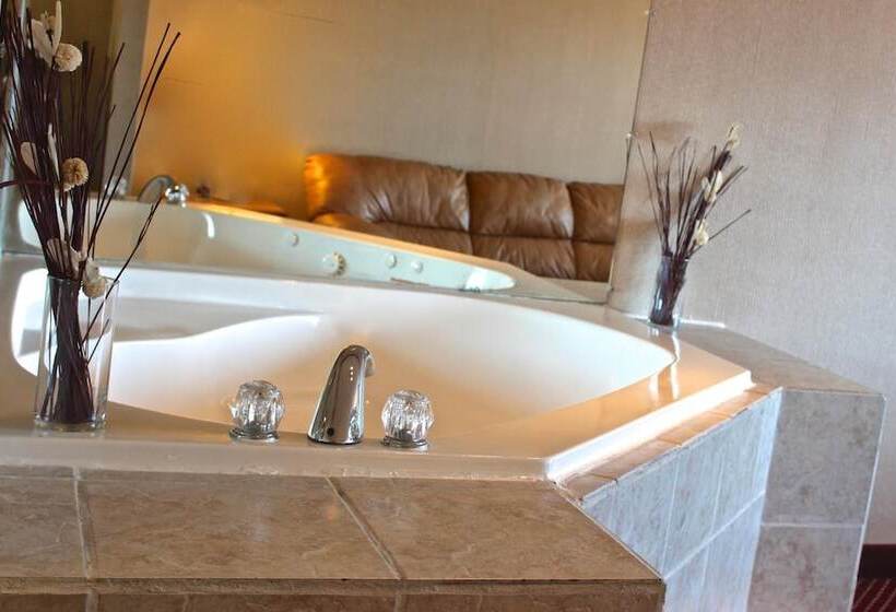 Отель Regency Inn Richmond