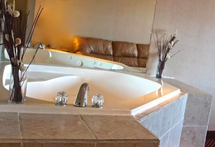 Отель Regency Inn Richmond