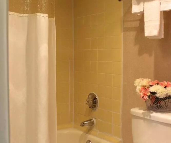 Отель Regency Inn Richmond