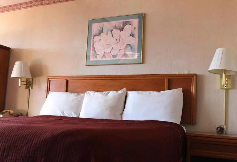 Отель Regency Inn Richmond