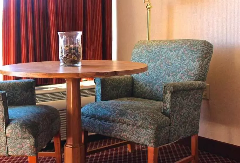 Отель Regency Inn Richmond