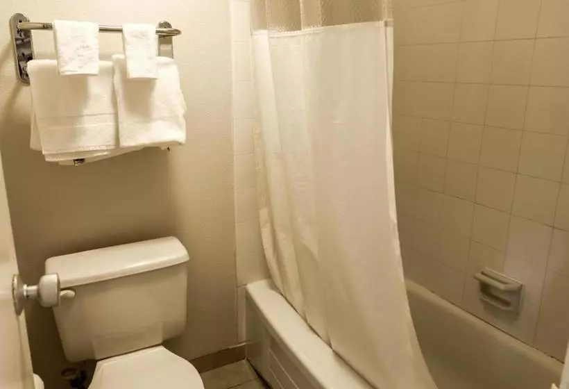 هتل Travelodge By Wyndham Lynchburg