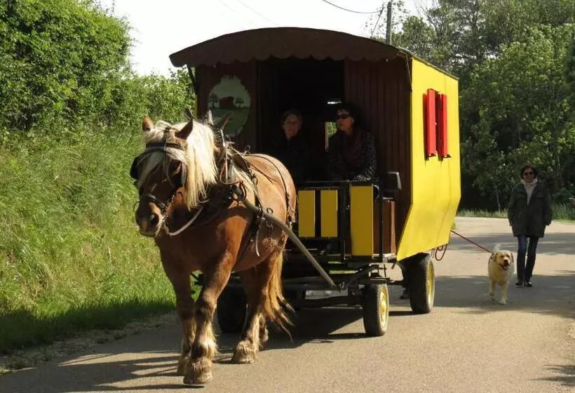 Aamiaismajoitus (B&B) Che Val D Amour