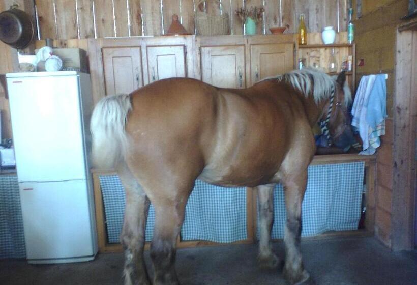 住宿加早餐  Che Val D Amour