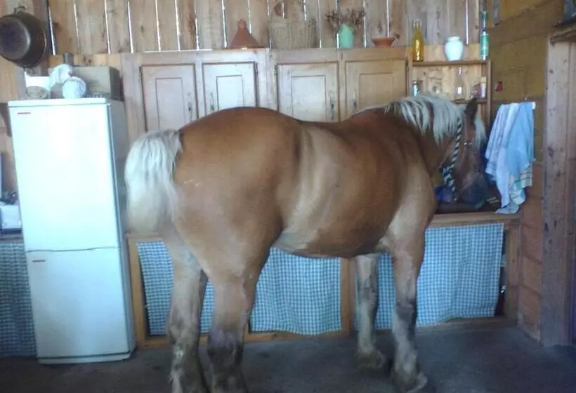 Aamiaismajoitus (B&B) Che Val D Amour