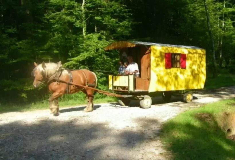 Aamiaismajoitus (B&B) Che Val D Amour