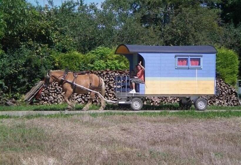 住宿加早餐  Che Val D Amour