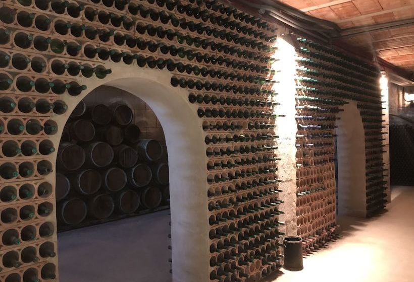 Casa Bodega Rural Villa Carmen