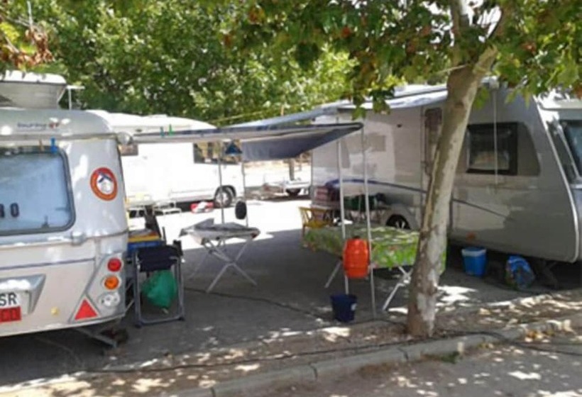酒店 Camping Fontsdelalgar