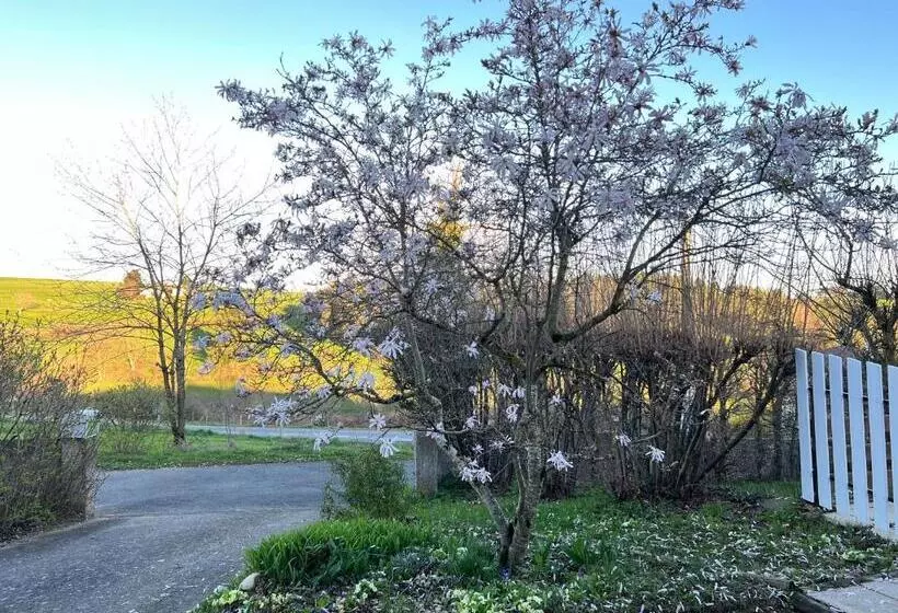 Maison D Hôtes L Escale Du Loup Blanc