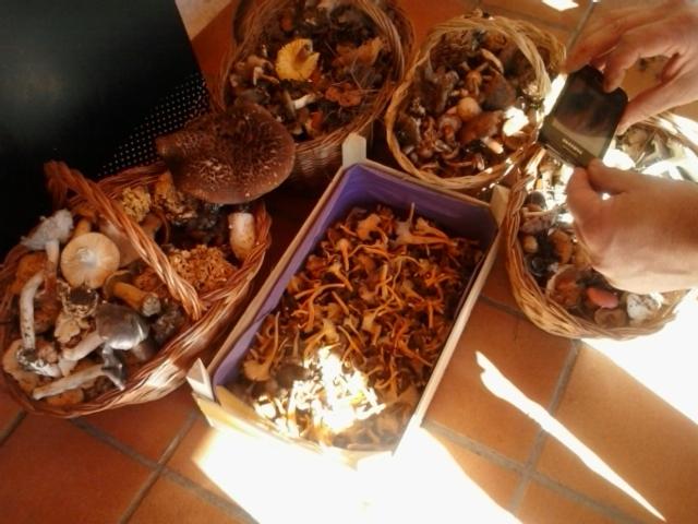 بنسيون Hostal Estopiñan