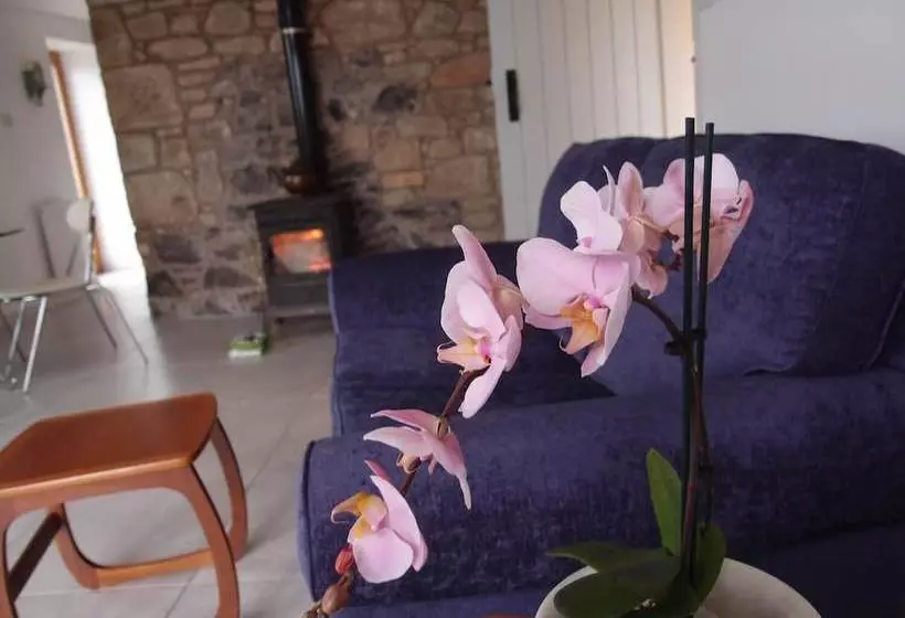 Cockle Kitty Cottage