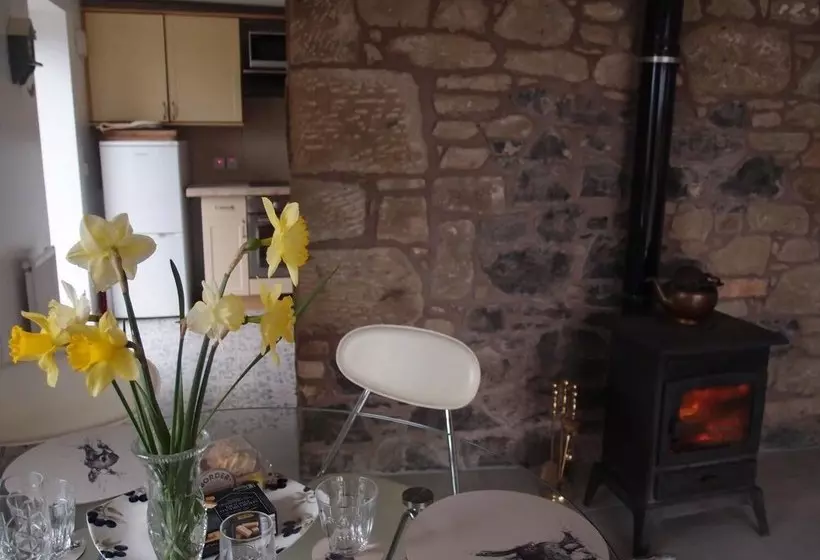 Cockle Kitty Cottage