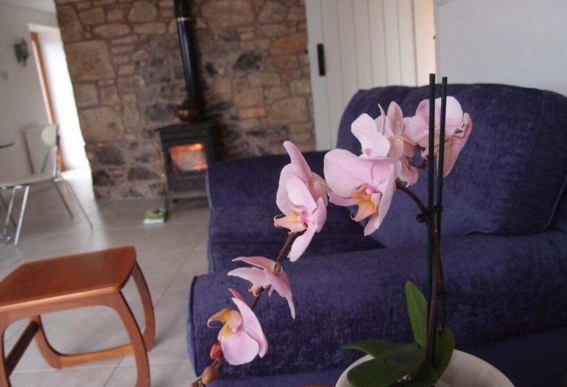 Cockle Kitty Cottage