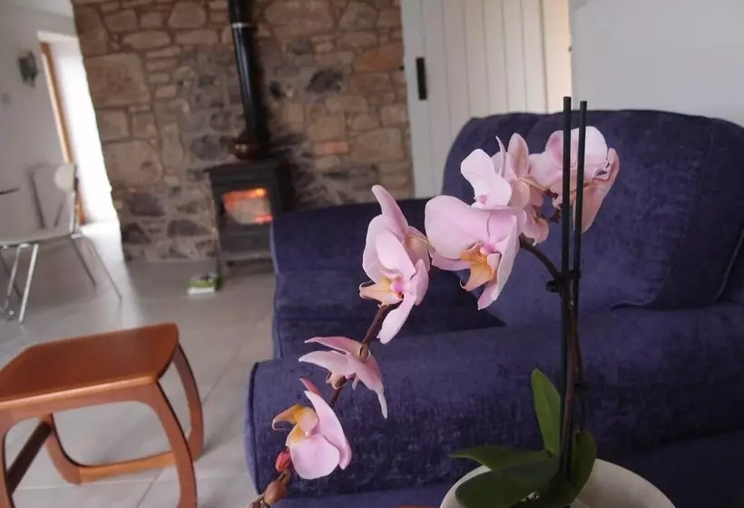 Cockle Kitty Cottage