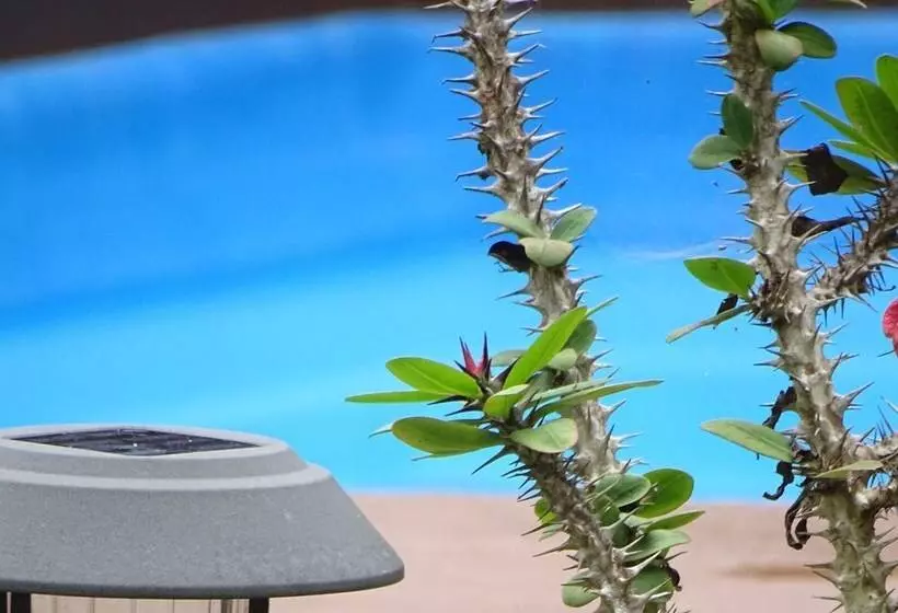 Gecko Villa