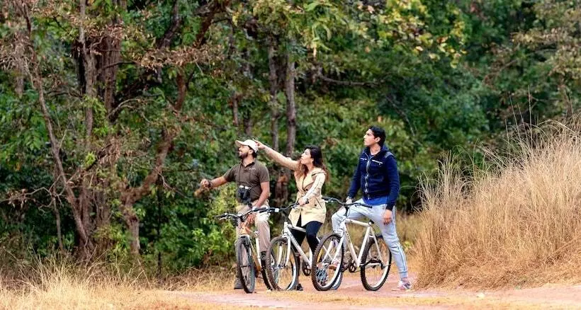 ホテル Banjaar Tola, Kanha National Park