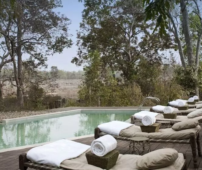ホテル Banjaar Tola, Kanha National Park