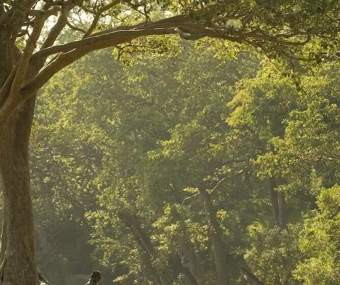 ホテル Banjaar Tola, Kanha National Park